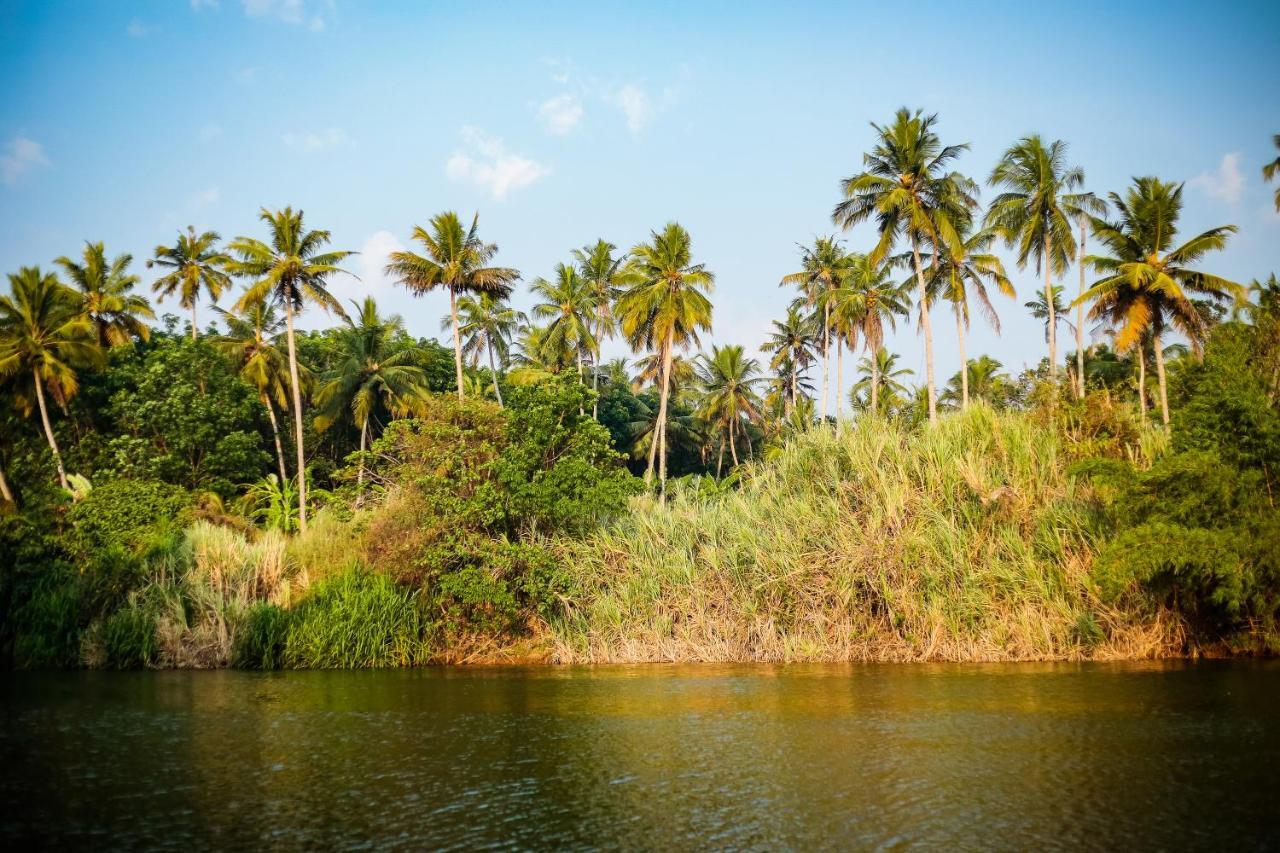 Mekosha Ayurveda Spa Suites Retreat & Resort Attingal Bagian luar foto